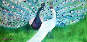 PEACOCKS, Oil on Canvas by Jayne St John