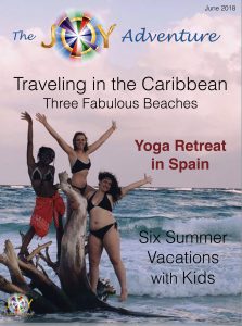 THE JOY ADVENTURE MAGAZINE COVER